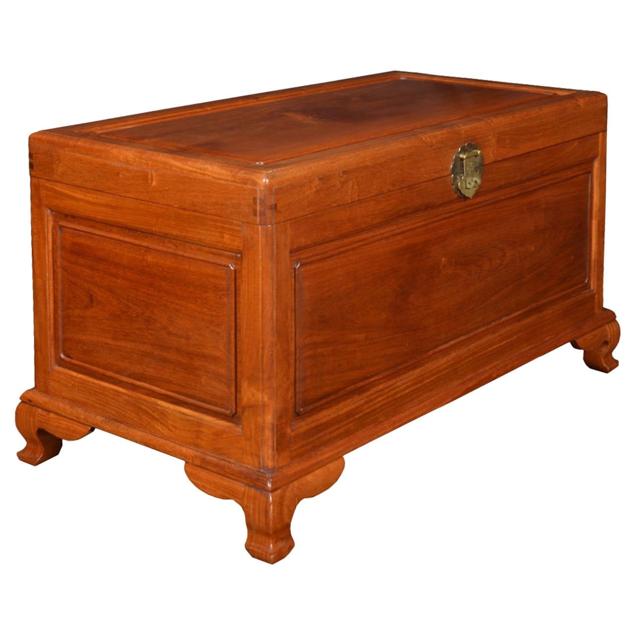 Chinese Export Camphor Wood Trunk Coffee Table For Sale At 1stdibs