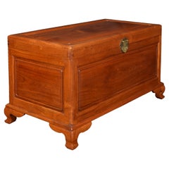 Chinese Export Camphor Wood Trunk Coffee Table
