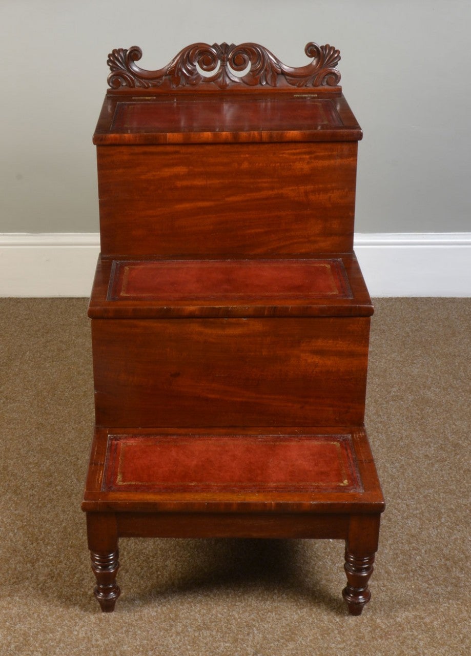 A set of 19th century mahogany library steps commode, the three treads inset with a replaced burgundy tooled hide and carved back. Raised up on four mahogany turned legs

Dimensions:

Height 27 inches.
Width 18 inches.
Depth 30 inches.