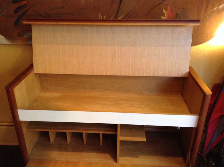 Late 20th Century Dry Bar Hifi Case Piece in Teak Wood circa 1970 For Sale