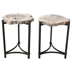 Petrified Wood Slab on Iron Base Side Table