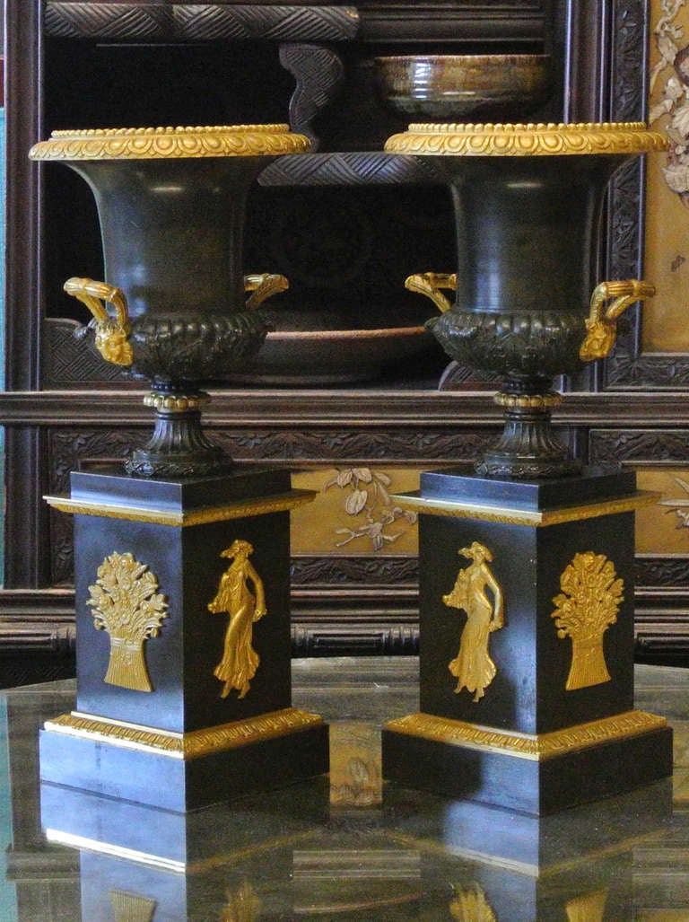 Pair of 19th Century French Neoclassical Bronze and Gilt Urns 5