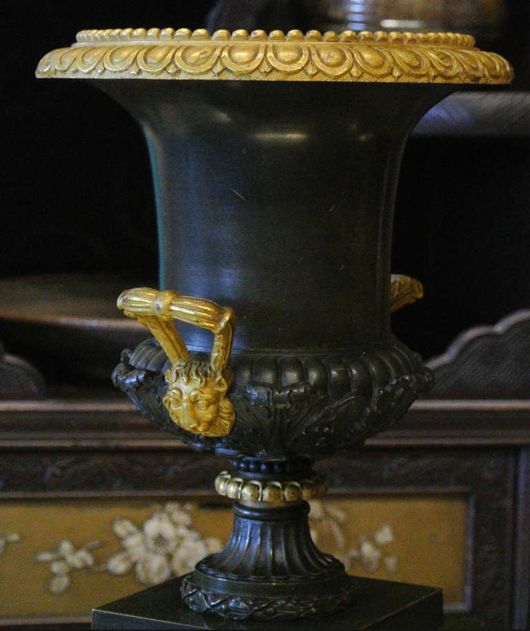 Pair of 19th Century French Neoclassical Bronze and Gilt Urns 3