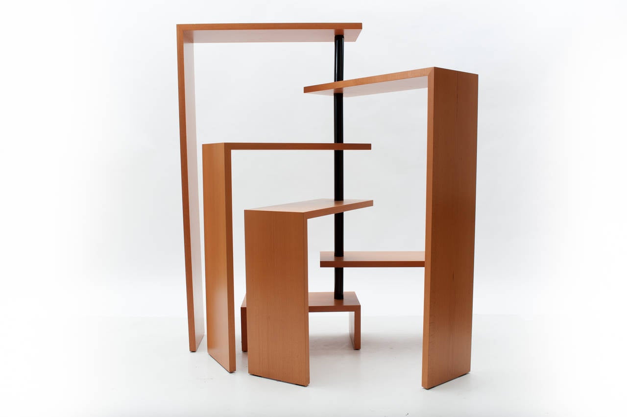 Mid-Century Modern Shelf Joy by Achille Castiglioni for Zanotta