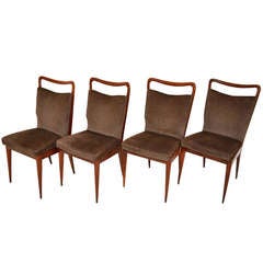 Set of 50's chairs by ISA-Gio Ponti style