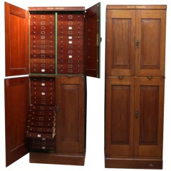 A pair of specimen Museum Cabinets