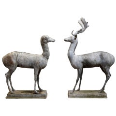 A Pair of Standing Deer 