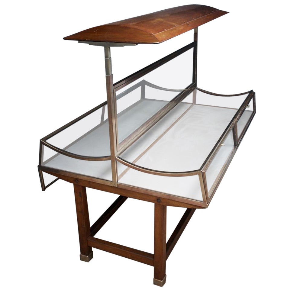 Bronze Display Cabinet