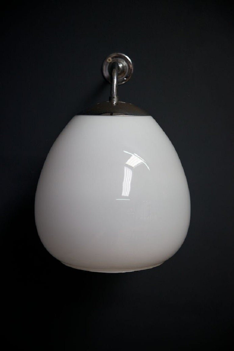 Tulip Wall Lights