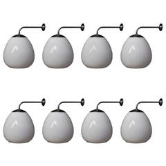 Tulip Wall Lights