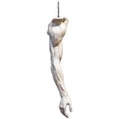 Anatomical Arm Model
