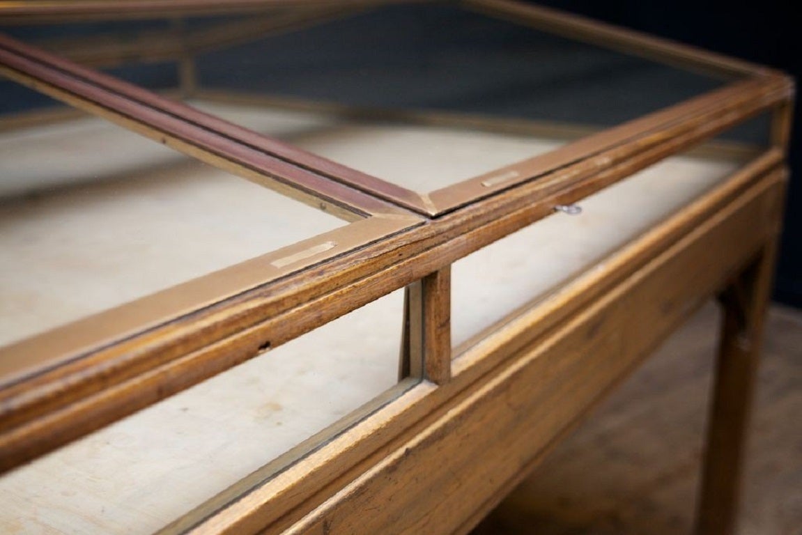 Museum Display Case In Good Condition In Llandudno, Conwy