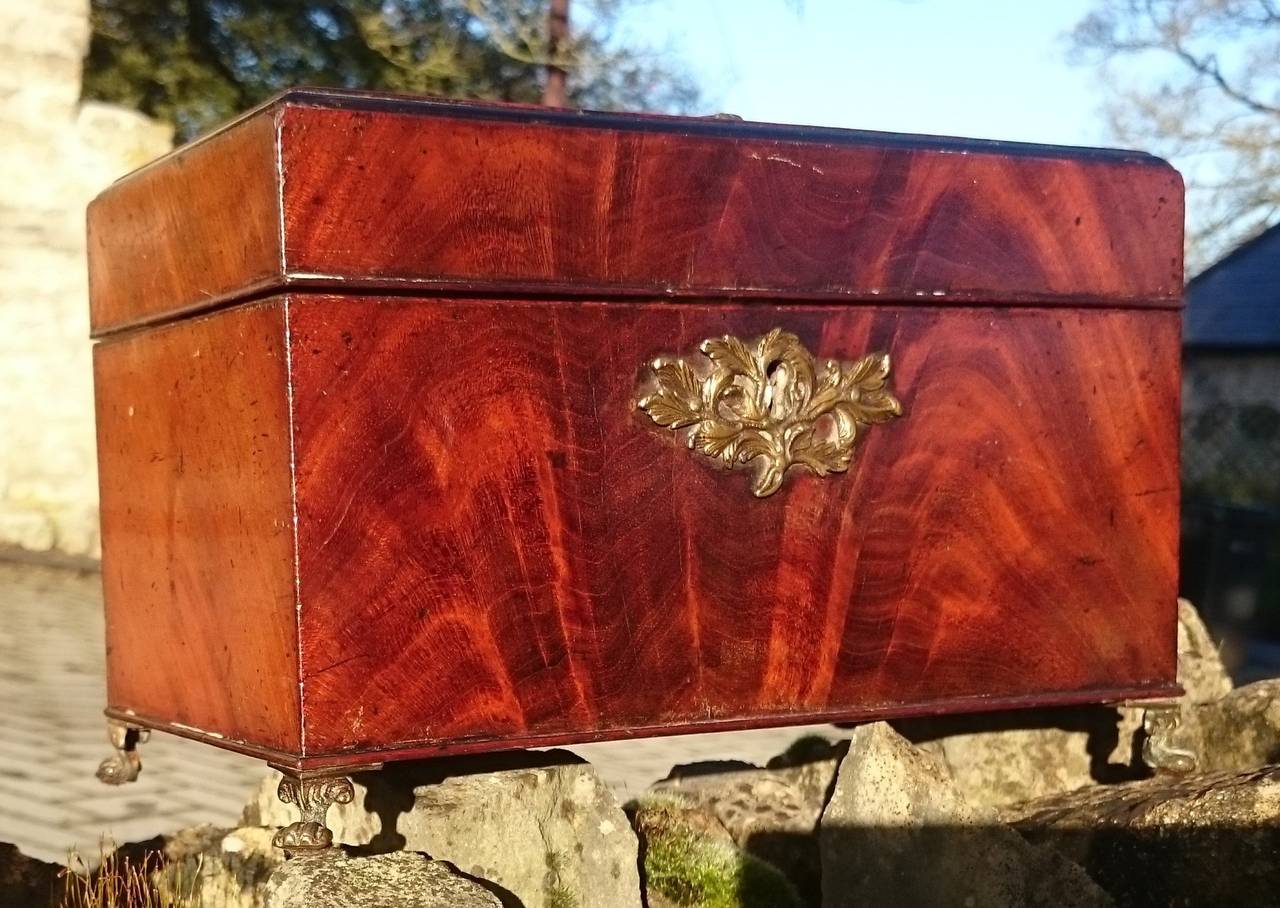 180 Early George III antique tea caddy made of an exceptional cut of Cuban flame mahogany with ebony stringing to the lid. The brass handle and escutcheon compliment each other and they display some traces of the original gilding, as do the gilt