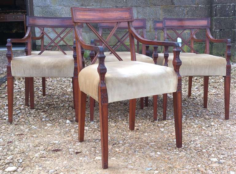 Set of 7 Antique Dining Chairs All With Arms 1
