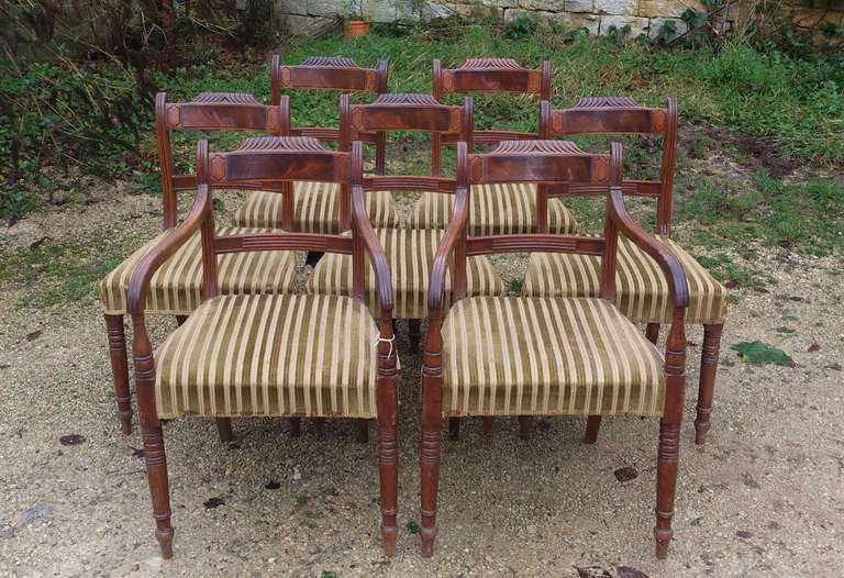 8 mahogany dining chairs