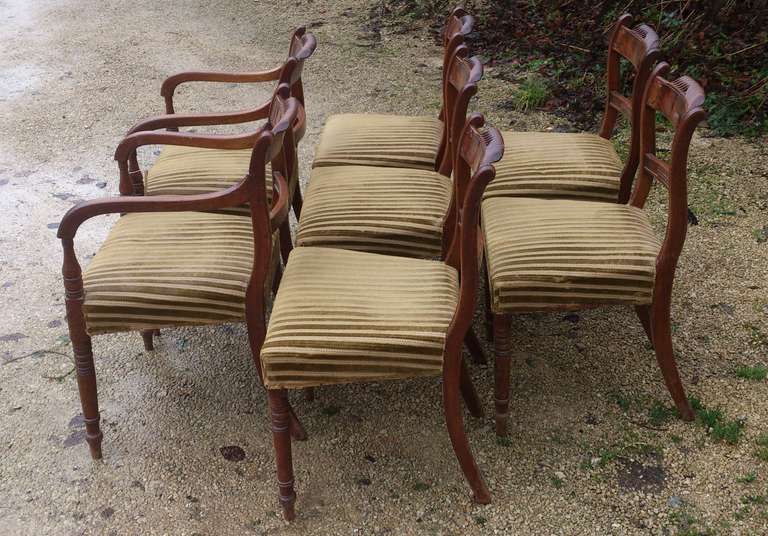 Regency Set of 8 Mahogany Antique Dining Chairs For Sale