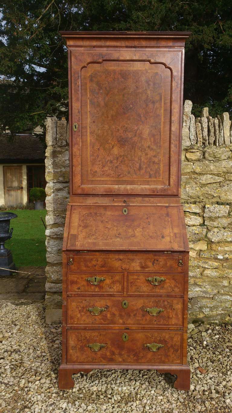 Absolutely charming rare and small George 1 burr walnut bureau bookcase in all original condition.

English circa 1720