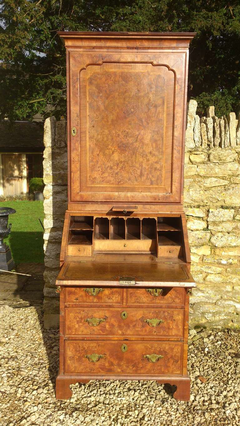 Walnut Antique burr walnut bureau bookcase