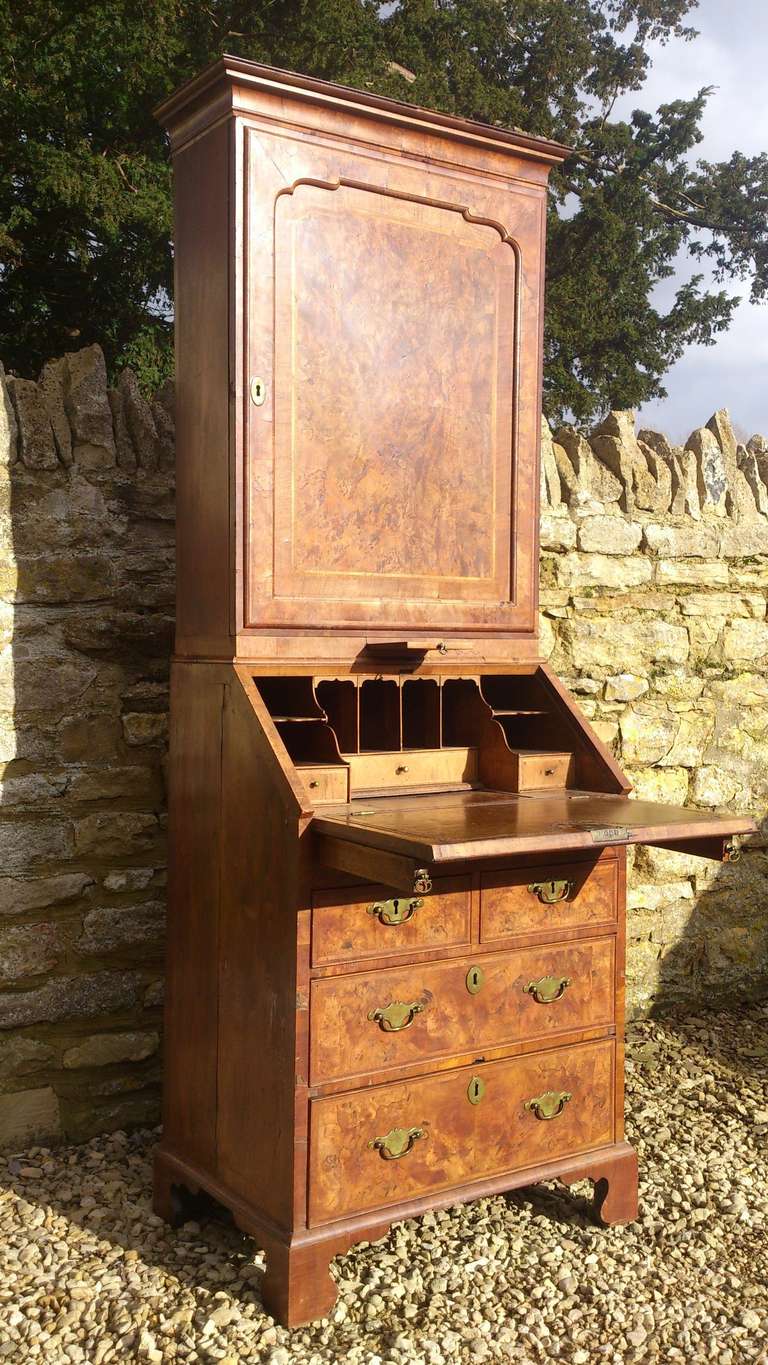 Antique burr walnut bureau bookcase 1