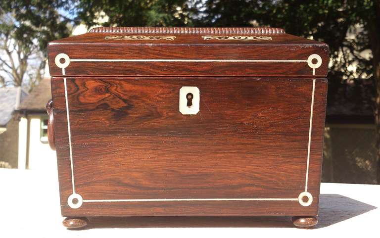 Marcellus by batesville picture