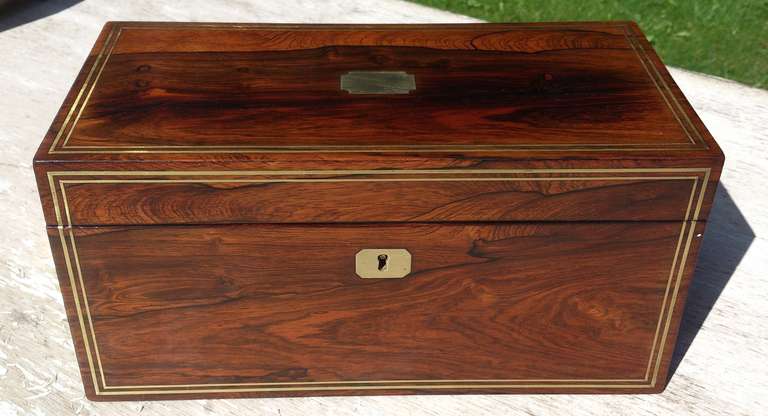 Early 19th Century Regency Rosewood Tea Caddy In Excellent Condition In Gloucestershire, GB