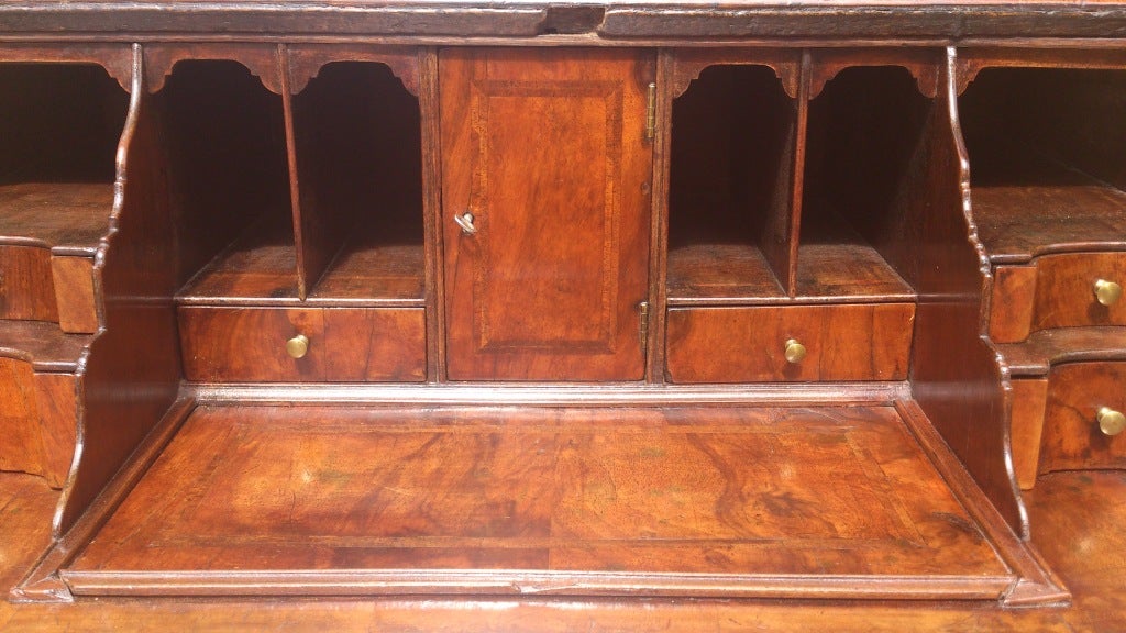 Unusually Small Antique Secretary / Secretaire / Bureau Bookcase 4