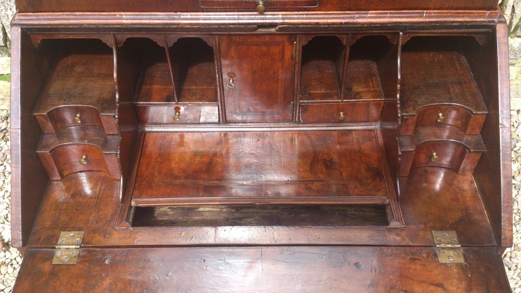 Unusually Small Antique Secretary / Secretaire / Bureau Bookcase 5