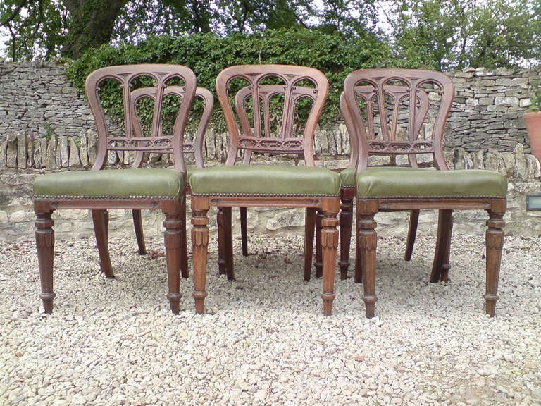 19th Century Good Early Set of 6 Gothic Oak Dining Chairs