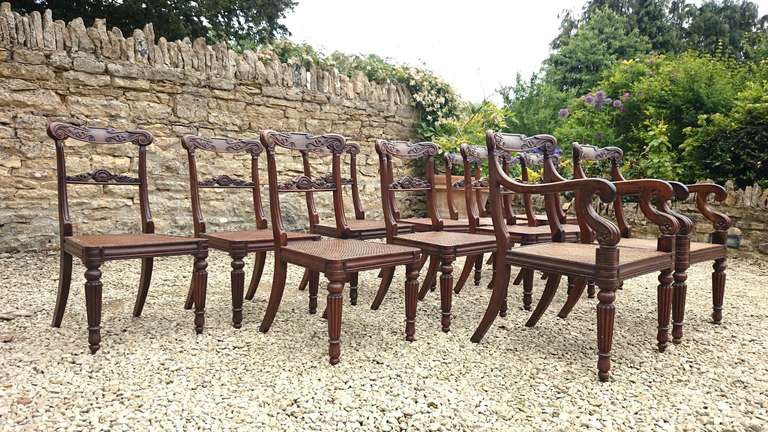 Very Rare Fine Set of 12 Dining Chairs, Goncalo Alves Timber In Excellent Condition For Sale In Gloucestershire, GB