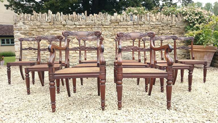 19th Century Very Rare Fine Set of 12 Dining Chairs, Goncalo Alves Timber For Sale