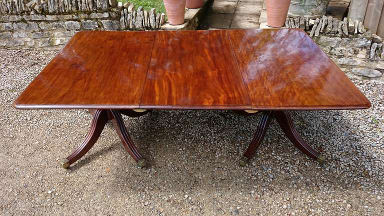 Antique twin pedestal dining table made of interesting colour golden mahogany with fine grain pattern. Each pedestal stands on four outswept legs with brass cups and casters. An elegant table with plenty of knee room.

Circa 1820

79