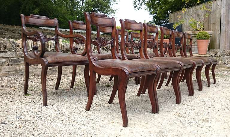 regency mahogany dining chairs