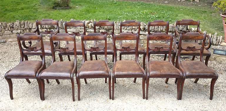 13 Regency Mahogany Antique Dining Chairs In Excellent Condition In Gloucestershire, GB