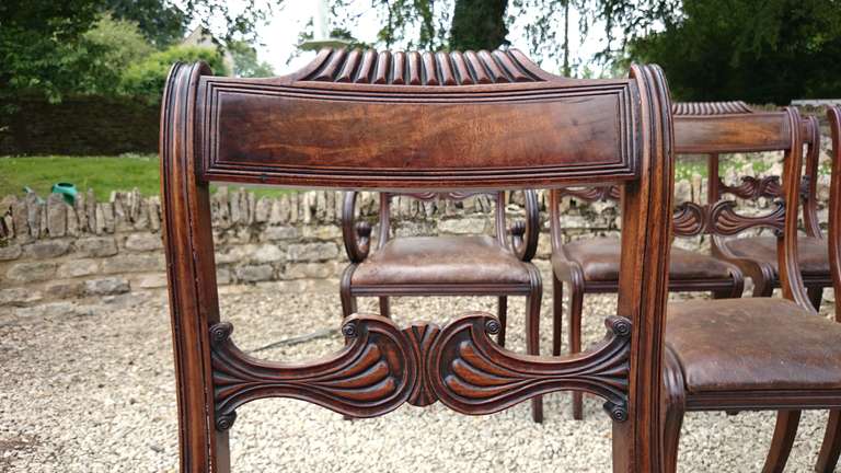 19th Century 13 Regency Mahogany Antique Dining Chairs