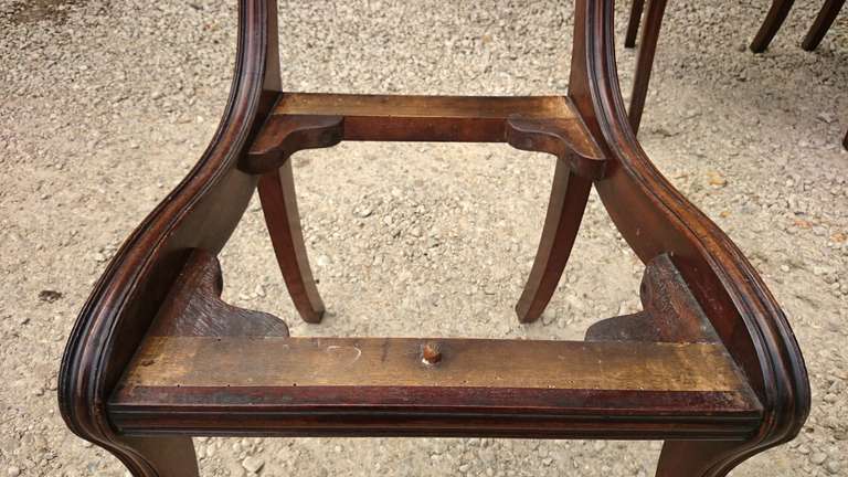 13 Regency Mahogany Antique Dining Chairs 1
