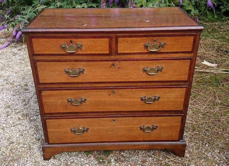 Small but beautifully formed chest

This chest of drawers is not too deep so wont take up much room. It is a good honey colour oak with mahogany crossbanding and with stringing in ebony and box wood, a most unusual but pleasing