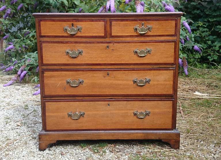 British George III Oak and Mahogany Crossbanded Chest of Drawers For Sale