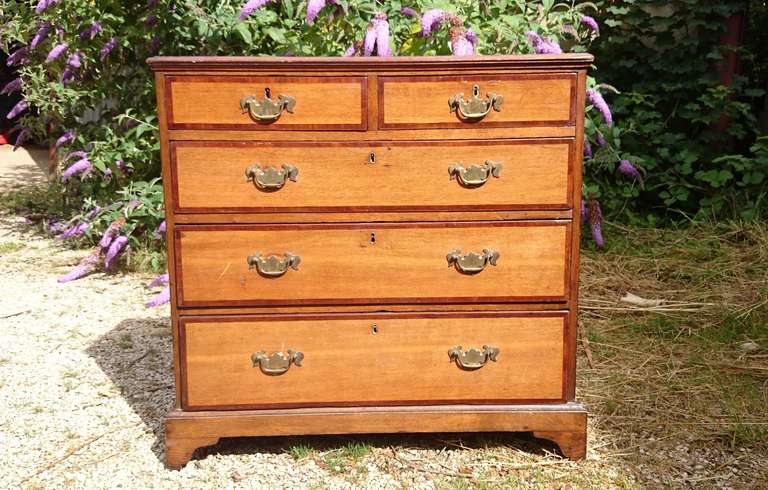 George III Oak and Mahogany Crossbanded Chest of Drawers For Sale 1