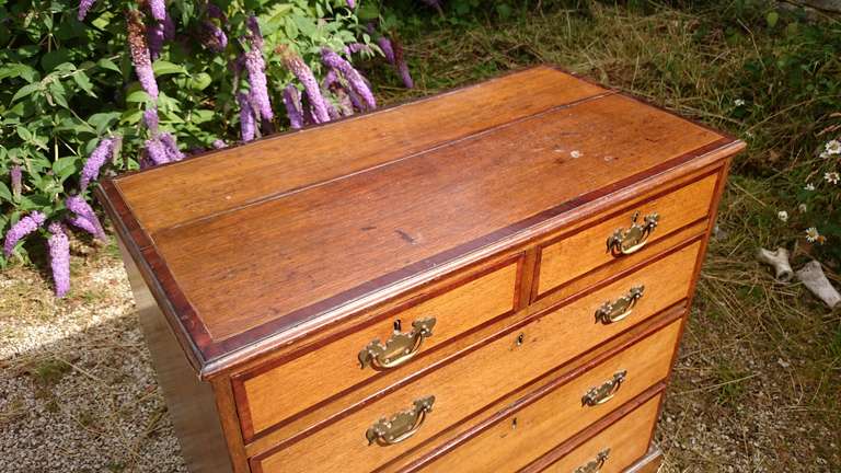 George III Oak and Mahogany Crossbanded Chest of Drawers For Sale 2