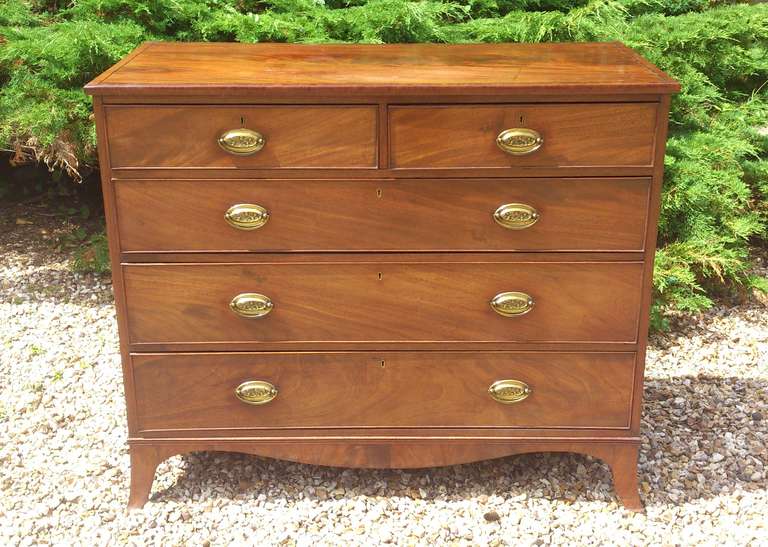 British Early Nineteenth Century Mahogany Antique Chest of Drawers