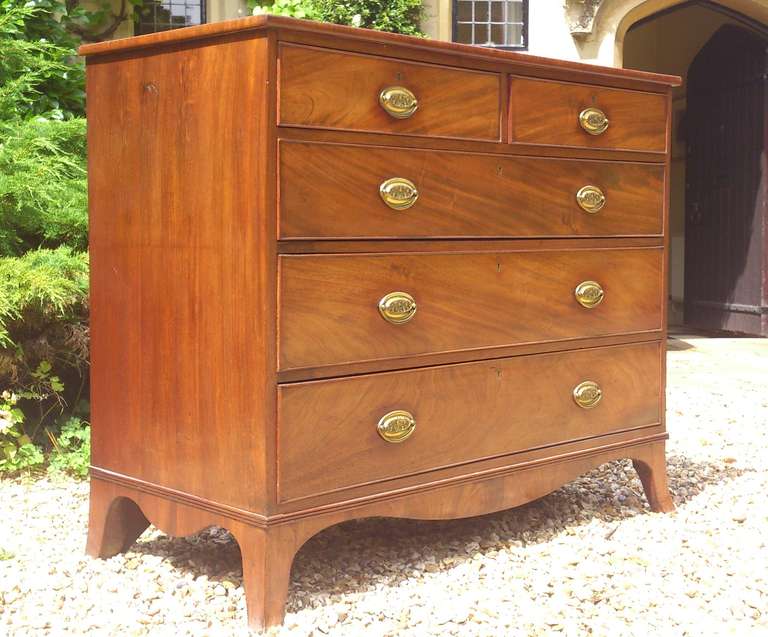 Early Nineteenth Century Mahogany Antique Chest of Drawers In Excellent Condition In Gloucestershire, GB