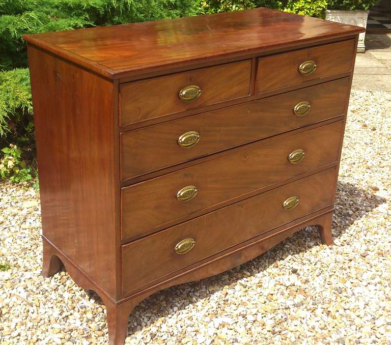 19th Century Early Nineteenth Century Mahogany Antique Chest of Drawers