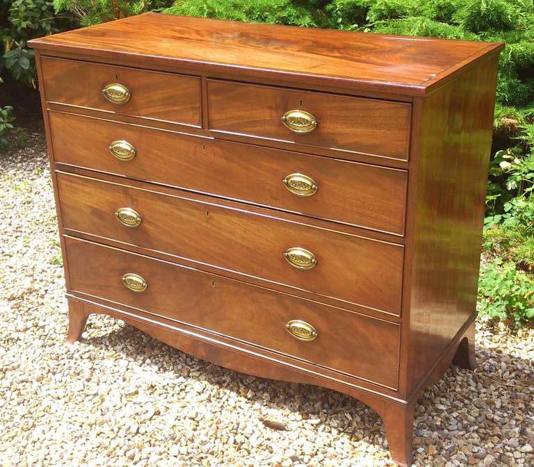 Early Nineteenth Century Mahogany Antique Chest of Drawers 1