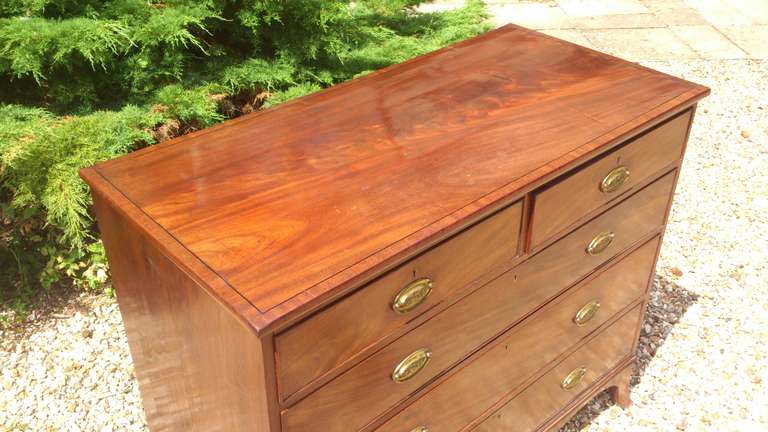 Early Nineteenth Century Mahogany Antique Chest of Drawers 2