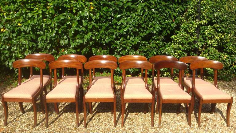 Clean modern lines on this set of 12 sabre leg dining chairs. They are made of good dense grained mahogany and are solid and well made examples of this period. English circa 1825.