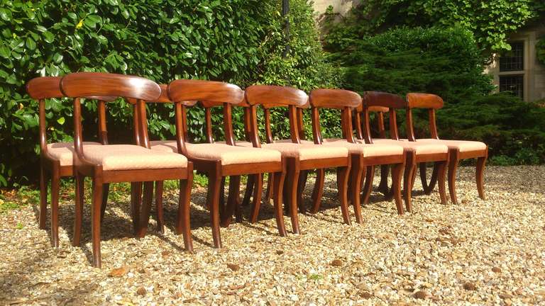 19th Century Set of 12 Antique Dining Chairs