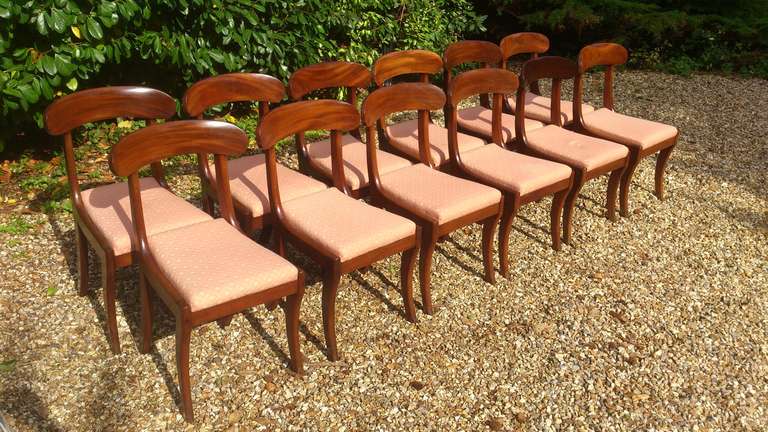 Set of 12 Antique Dining Chairs 1