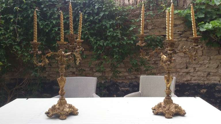 Pair of Antique French Baroque Ormulu Candelabra 6