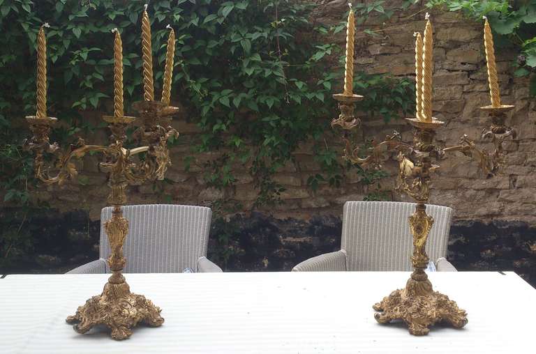 Outstanding example of French baroque ormulu (gilt bronze) multi branch candelabra. The arms sweep round past the main upright much further than usual and the whole surface is covered with asymmetrical decoration with copious quantities of foliage,