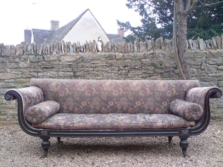 Regency period antique sofa in ebonised beech with ormulu mounts. This sofa has the proper horsehair squab with no seat springs, generous scroll arms and horsehair bolsters. The legs are good and tall with close reeding very much in the style of the